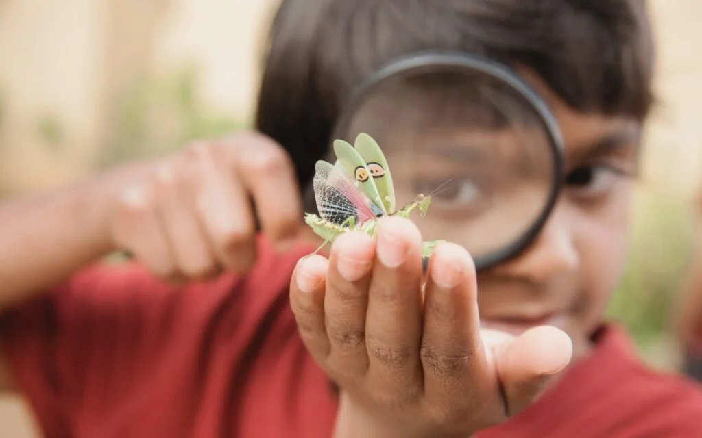 A young boy in a red shirt examines a moth on a leaf through a magnifying glass, focusing intently on the insect with curiosity as part of his biology curriculum.
