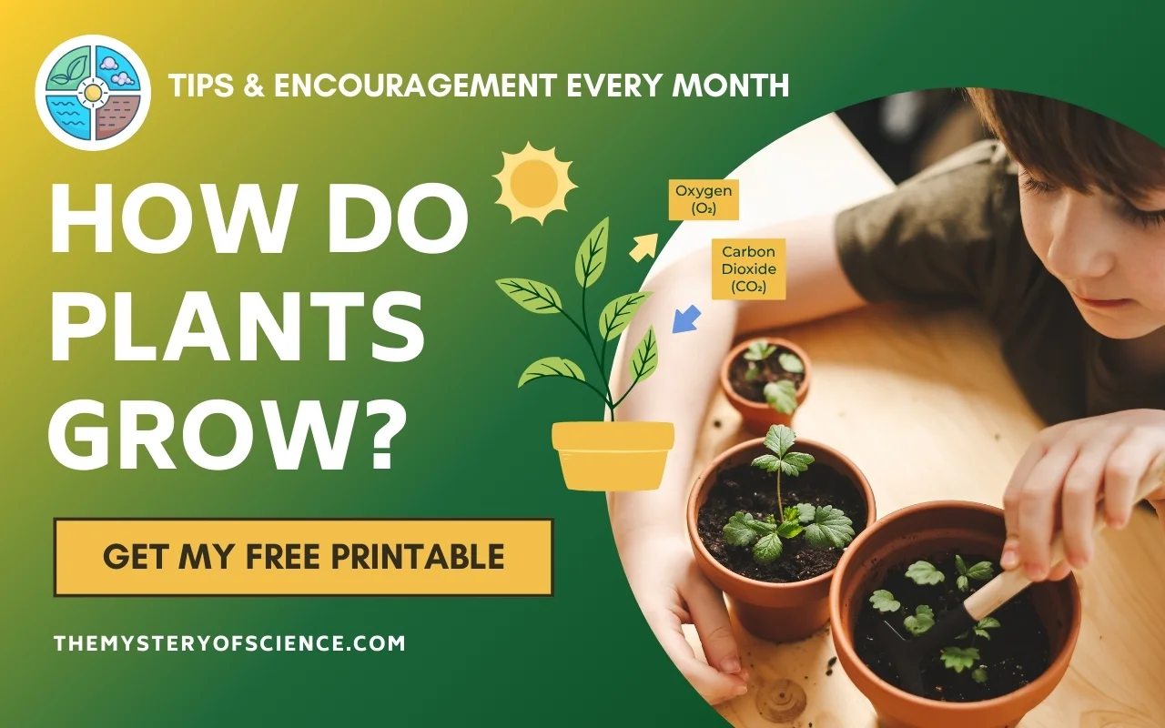A child explores potted plants on a wooden table. The image includes text: "Tips & Encouragement Every Month," "How Do Plants Grow?", and "Get My Free Printable." Illustrated arrows depict oxygen and carbon dioxide. Dive into summer vegetables with engaging seed starting tips!.