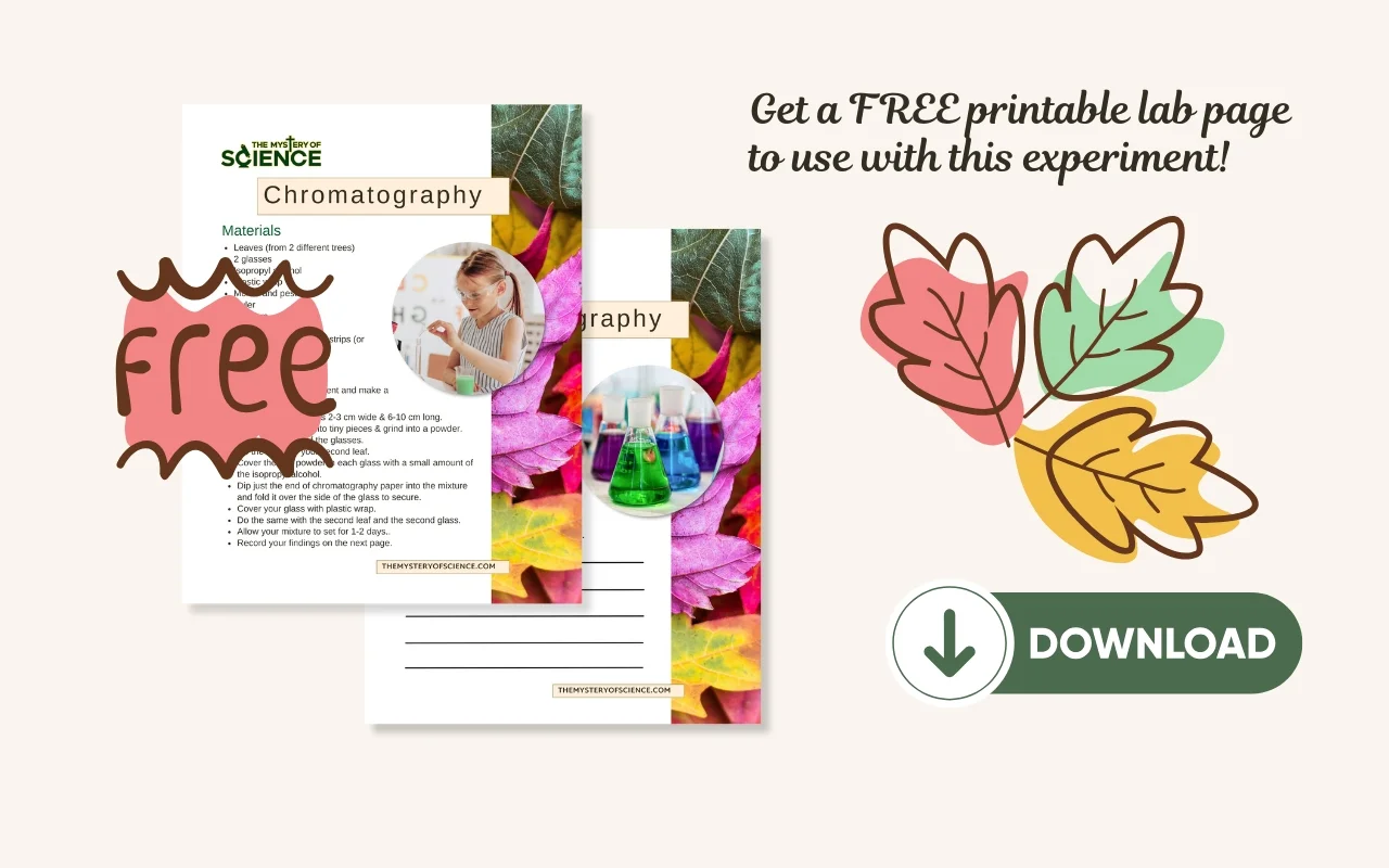 Two printable chromatography lab pages overlap near colorful fall leaves, with a "FREE" sticker, a photo of a child doing a fall science experiment, and a green download button labeled “Download” beside “Get a FREE printable lab page to use with this experiment!”.