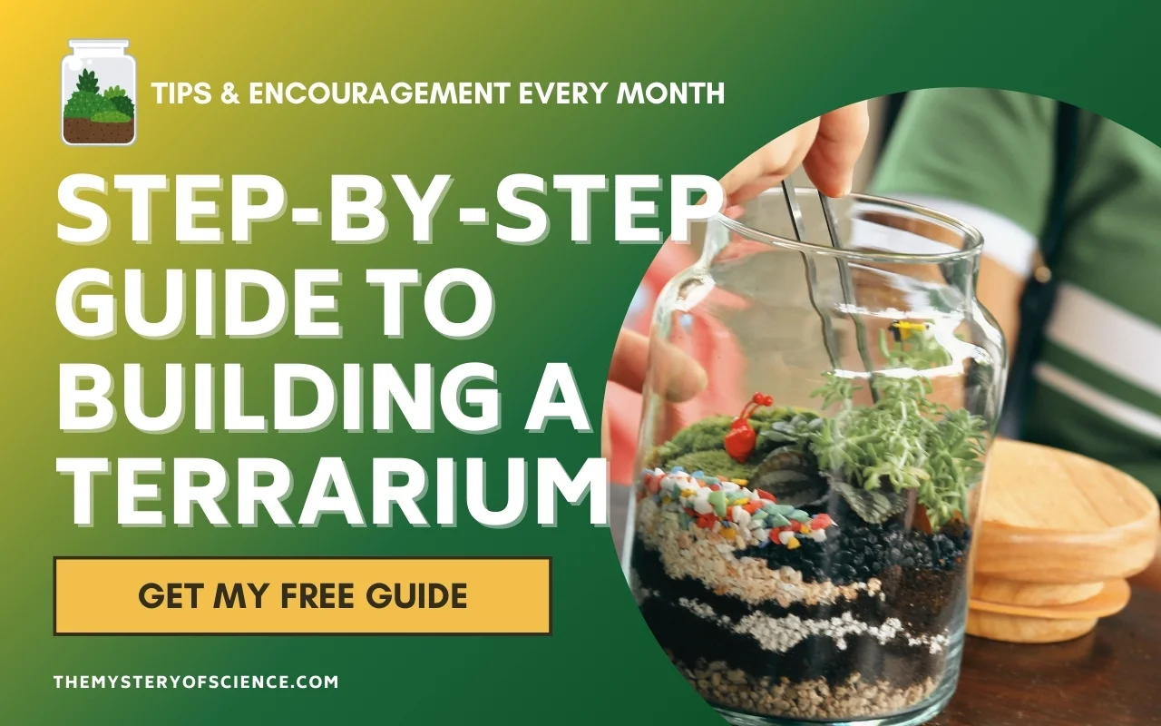 A person assembling a terrarium with layers of soil and small plants in a glass container. Text overlay reads, "Step-by-Step Guide to Building a Terrarium" with a button saying "Get My Free Guide.