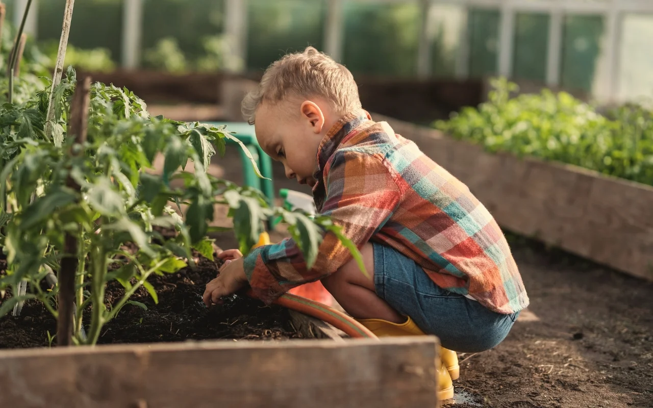 A young child in a plaid shirt and shorts crouches in the garden, carefully tending to summer vegetables in a raised bed. Focused on the task amidst lush greenery, they're surrounded by the promise of delicious vegetables as bright sunlight filters through the greenhouse.