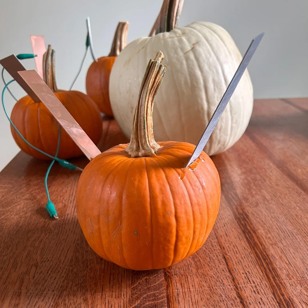 A small orange pumpkin with metal strips and wires inserted into it sits on a wooden table, showcasing pumpkin power. Other pumpkins, including a white one, are in the background.